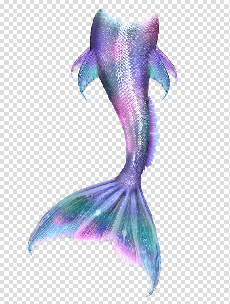 colas, purple and pink mermaid tail illustration transparent background PNG clipart