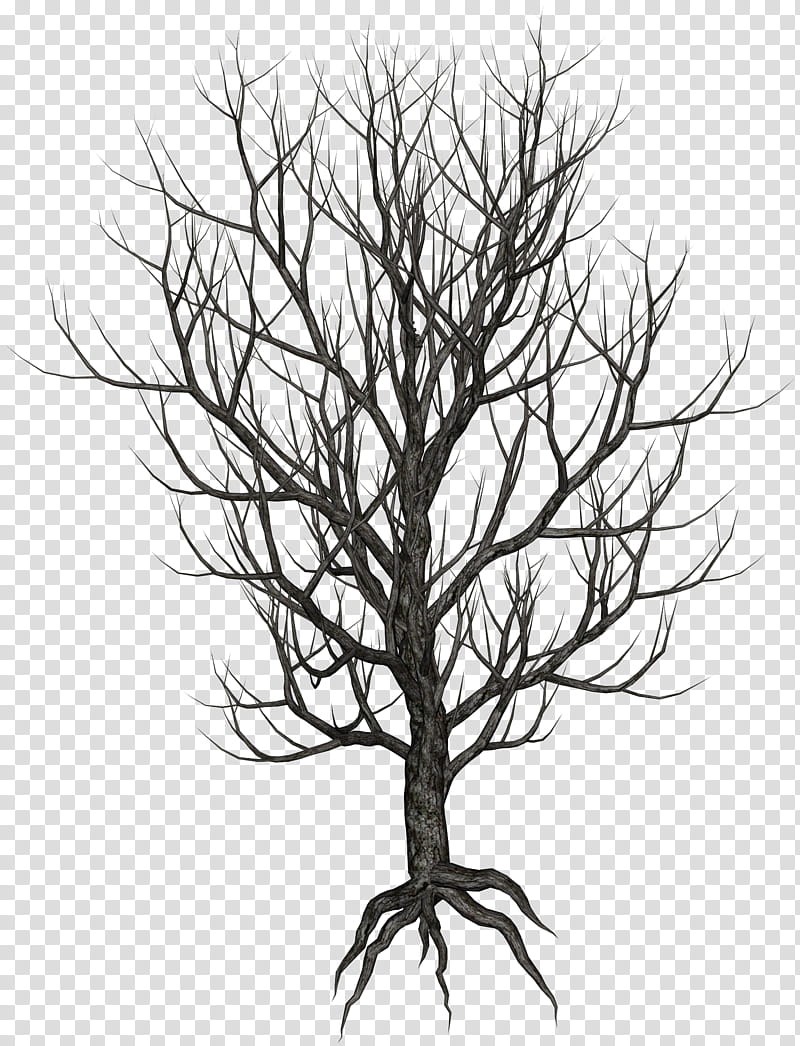 Sticker Bare winter tree 