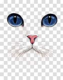 , white cat painting transparent background PNG clipart