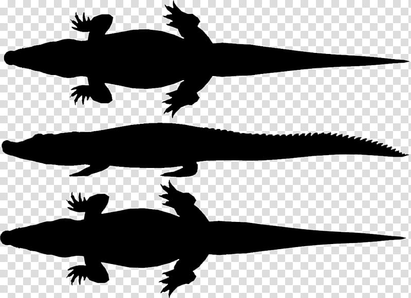 Turtle, Crocodiles, Amphibians, Silhouette, Animal, Reptile, Crocodilia, Alligator transparent background PNG clipart