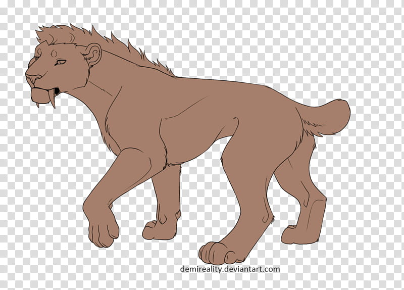 Free Sabertooth Lineart ( and paint version), brown sabertooth illustration transparent background PNG clipart