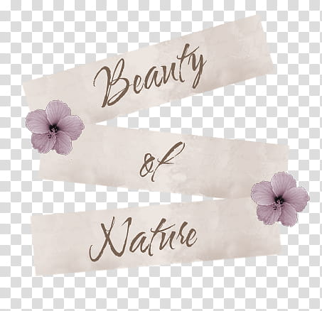 Naturistic Expressions II, Beauty of Nature sign transparent background PNG clipart