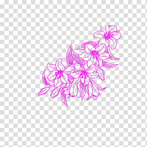 Flores, pink flowers illustration transparent background PNG clipart