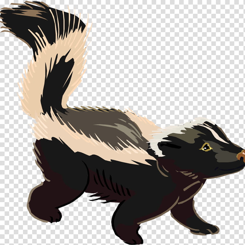 Cat And Dog, Skunk, Drawing, Tail, Mustelidae, Wildlife, Bear, Beak transparent background PNG clipart