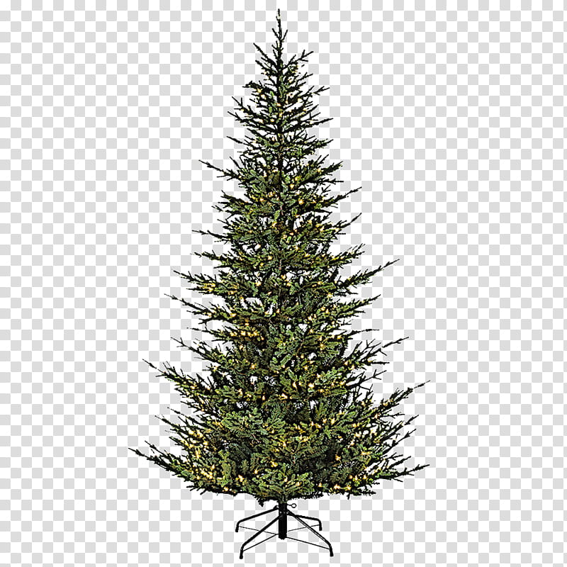 Christmas tree, Shortleaf Black Spruce, Columbian Spruce, Balsam Fir, Colorado Spruce, White Pine, Yellow Fir, Lodgepole Pine transparent background PNG clipart