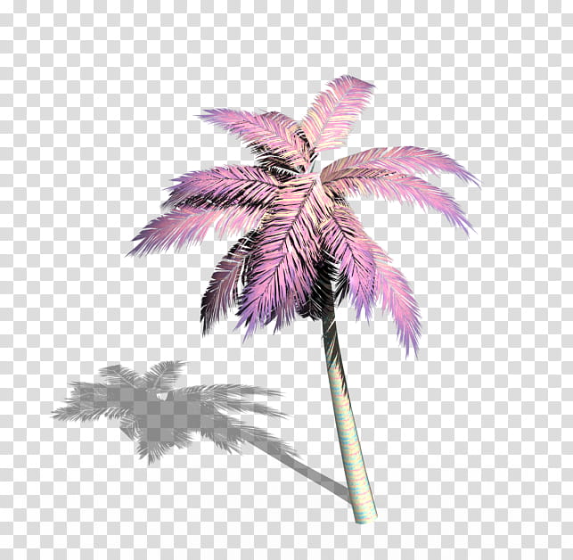Vol , pink palm tree transparent background PNG clipart