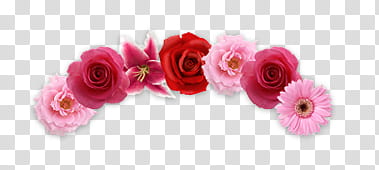 Flores, red and pink flowers transparent background PNG clipart