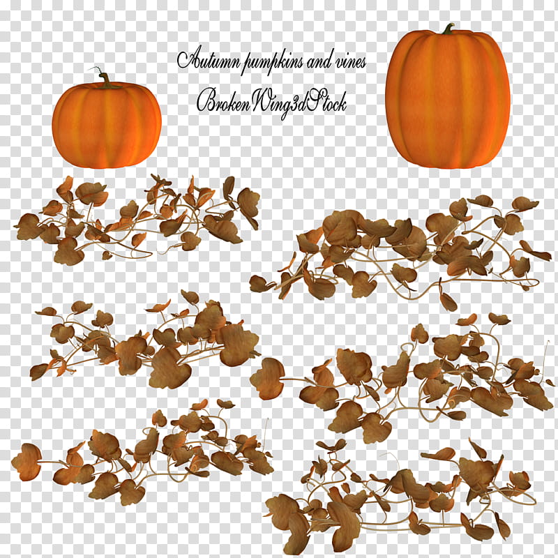 Autumn Pumpkins and Vines, orange pumpkins and brown vines with text overlay transparent background PNG clipart