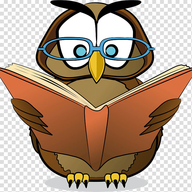 Owl, Reading, Education
, Teacher, National Primary School, Book, School
, Homework transparent background PNG clipart
