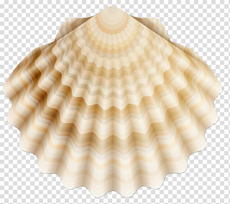 Seafood, Seashell, Clam, Cockle, Scallops, Mollusc Shell, Oyster, Drawing transparent background PNG clipart