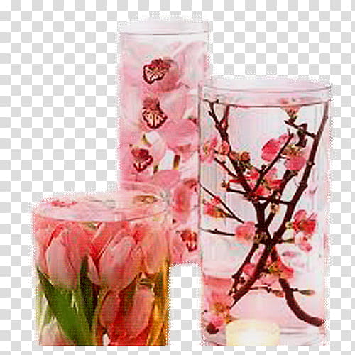 Velas Estilo Vintage, pink cherry blossoms and tulips transparent background PNG clipart