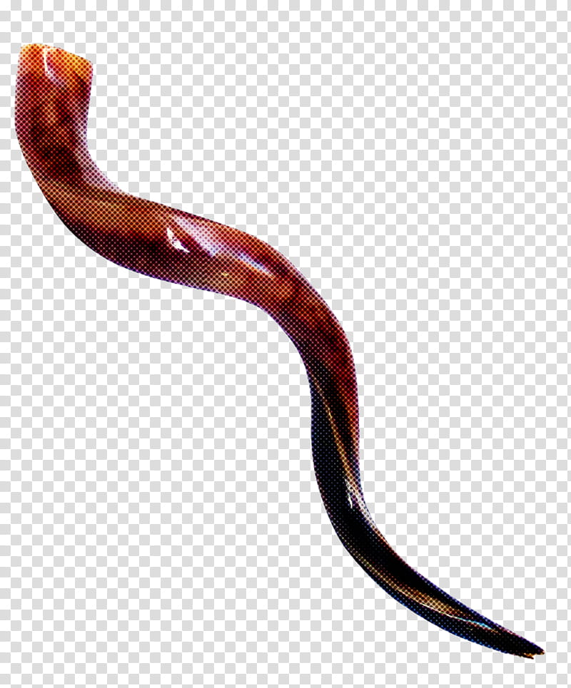 Shofar, Horn, Tail transparent background PNG clipart
