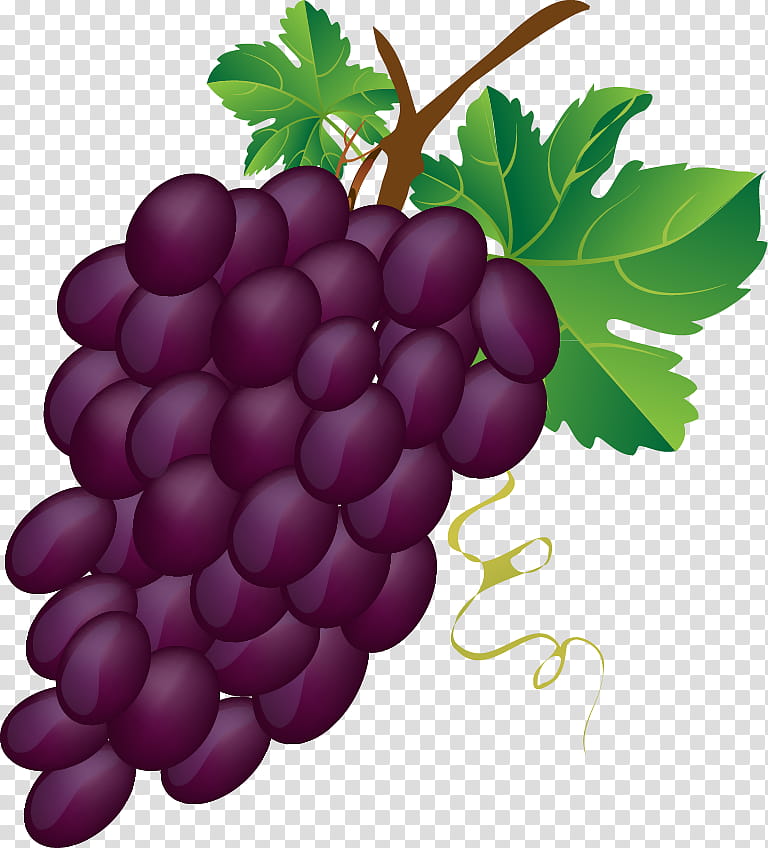 Flower Leaves, Grape, Common Grape Vine, Grapevines, Grape Leaves, Seedless Fruit, Grapevine Family, Vitis transparent background PNG clipart