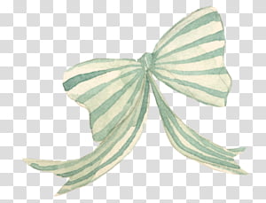 shop Resource transparent background PNG clipart thumbnail