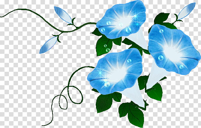 Flowers, Japanese Morning Glory, Rose Family, Plant Stem, Cut Flowers, Computer Font, Morningglories, Morning Glories transparent background PNG clipart