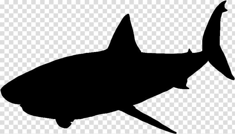 Great White Shark, Silhouette, Tiger Shark, Great Hammerhead, Shark Finning, Megalodon, White Sharks, Fish transparent background PNG clipart