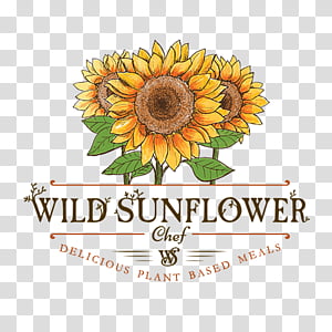 Design Sunflower Background Png