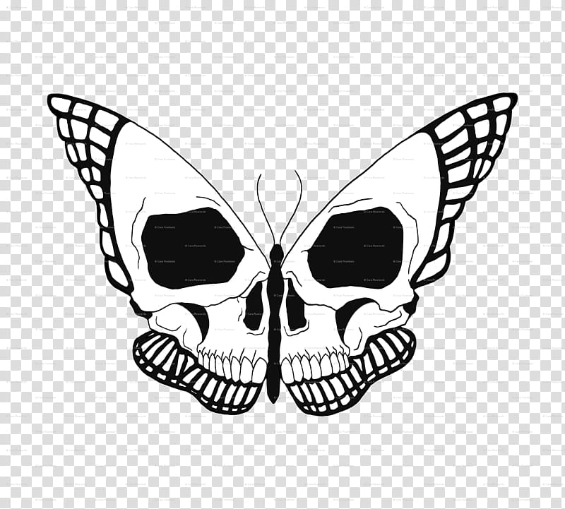 Butterfly Black And White, Drawing, Skull, Line Art, Pencil, Cartoon, Moths And Butterflies, Bone transparent background PNG clipart