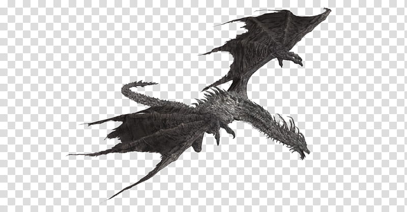 Lotric Wyverns, gray dragon flying transparent background PNG clipart