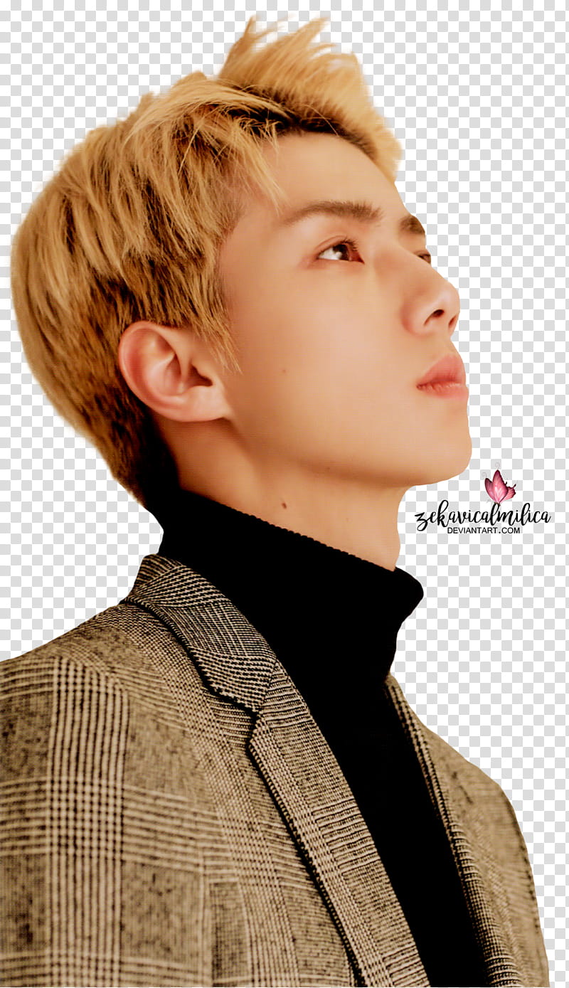 EXO Sehun For Life, man wearing black turtleneck top transparent background PNG clipart