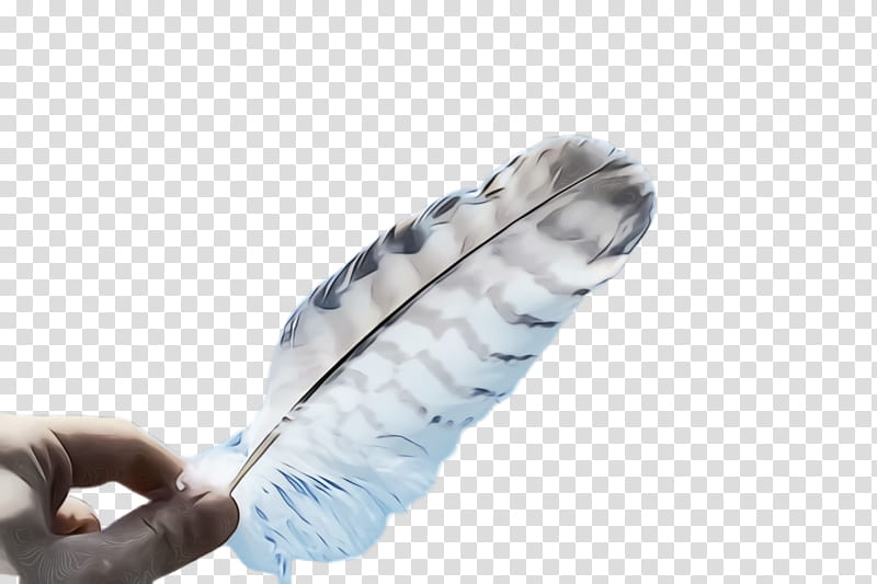 Feather, Watercolor, Paint, Wet Ink, Quill, Hand, Writing Implement, Fashion Accessory transparent background PNG clipart