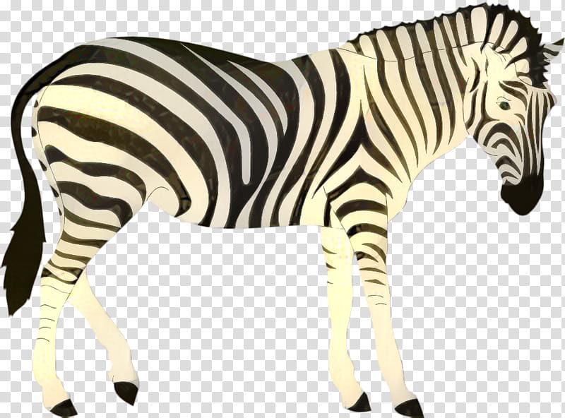 Zebra, Line Art, Drawing, Silhouette, Animal Figure, Wildlife, Snout, Mane transparent background PNG clipart