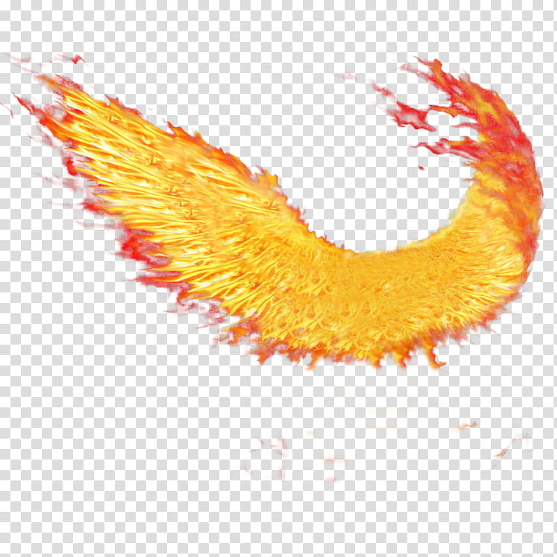 Fire Wings, red flames illustration transparent background PNG clipart