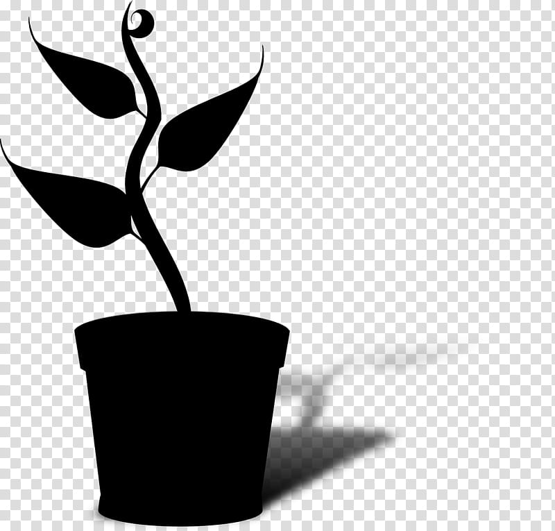 India Flower, Pride Of India, Leaf, Crepemyrtle, Plants, Genotype, Phenotype, Plant Stem transparent background PNG clipart