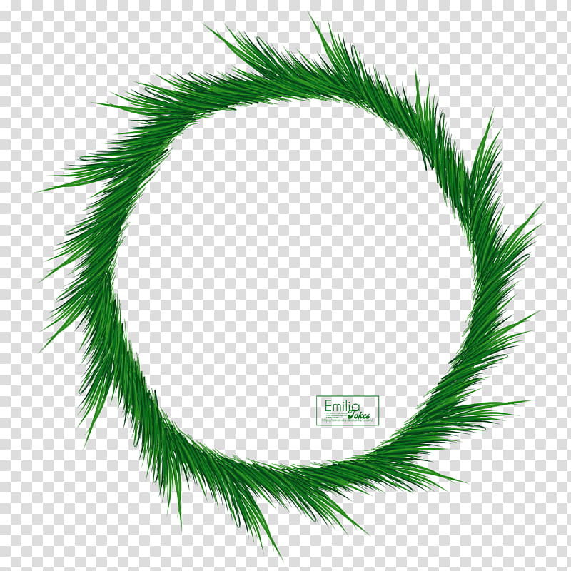Christmas Pine Branch Circle Frame, green leafy wreath transparent background PNG clipart