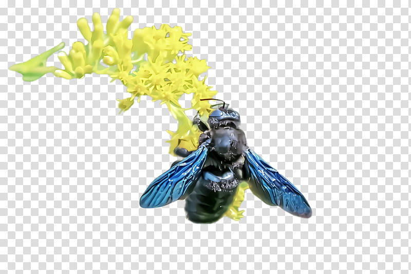 Bumblebee Honeybee Insect Membranewinged Insect Megachilidae Pest Carpenter Bee