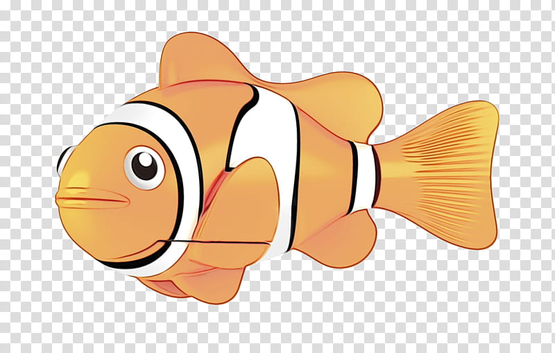 fish anemone fish fish clownfish pomacentridae, Watercolor, Paint, Wet Ink, Cartoon, Seafood, Bonyfish, Fin transparent background PNG clipart