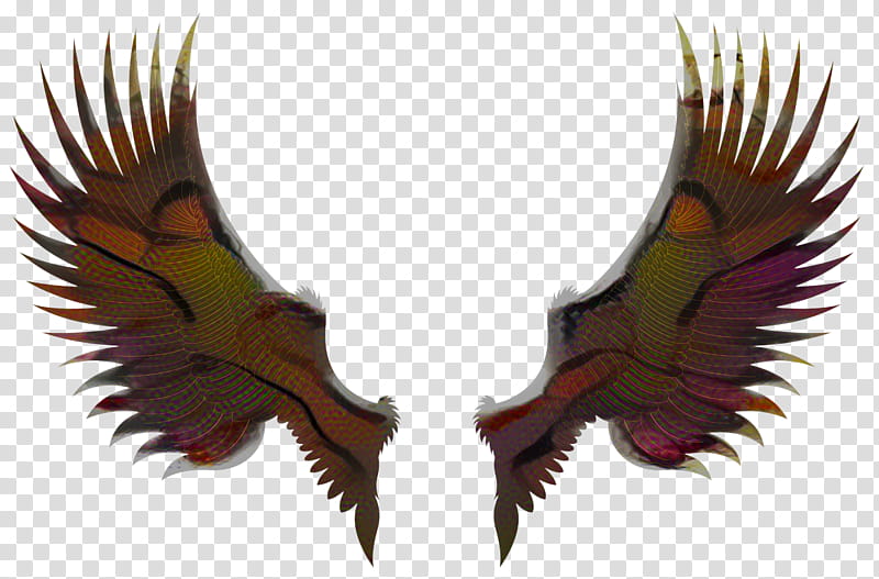 Eagle Logo, Silhouette, Drawing, Eyelash, Feather, Bird, Beak transparent background PNG clipart