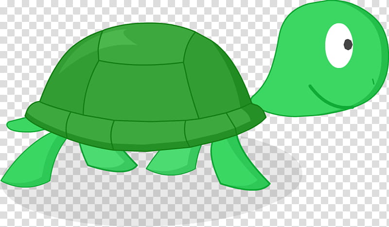 Sea Turtle, Mundo Gaturro, Tortoise, Teenage Mutant Ninja Turtles, Fandom, Presentation, Green, Reptile transparent background PNG clipart