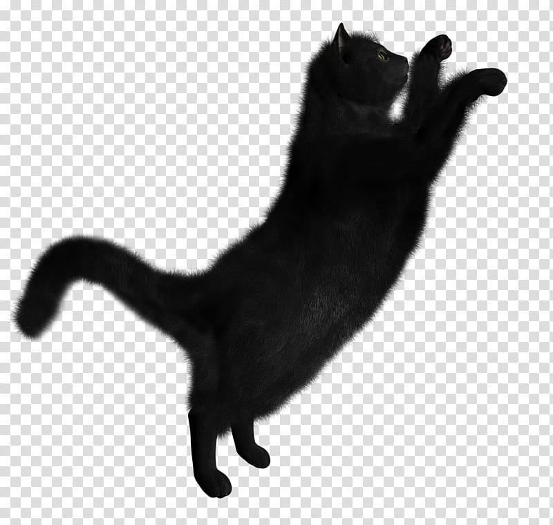 High Quality  Cats , black cat illustration transparent background PNG clipart