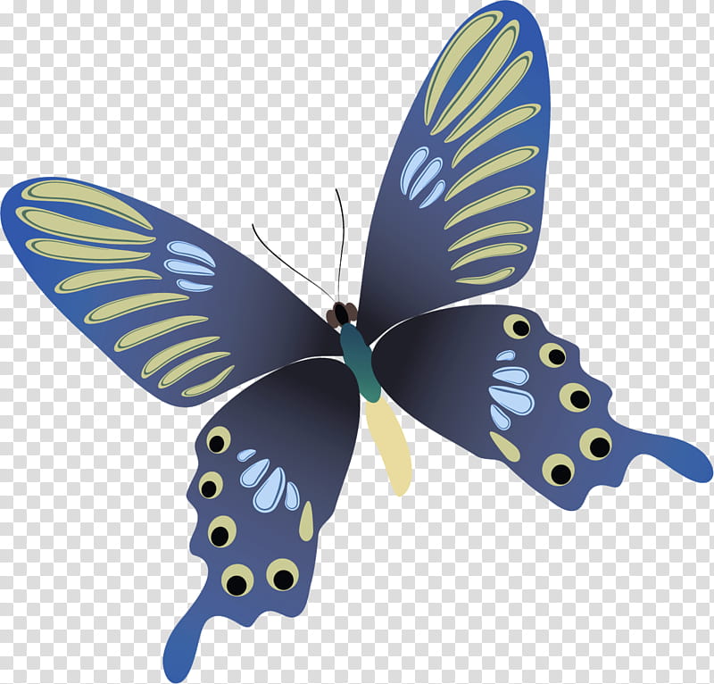 butterfly insect moths and butterflies blue wing, Pollinator, Swallowtail Butterfly, Brushfooted Butterfly, Lycaenid transparent background PNG clipart
