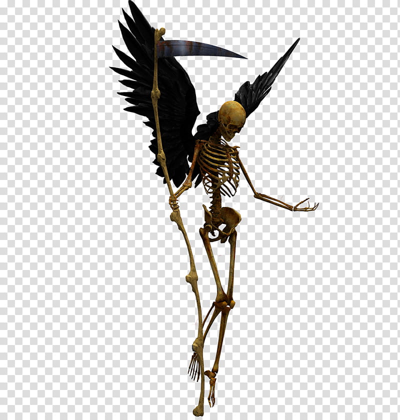 E S Angel of death, skeleton with black wings transparent background PNG clipart