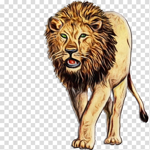 lion wildlife big cats animal figure roar, Watercolor, Paint, Wet Ink, Masai Lion, Terrestrial Animal transparent background PNG clipart