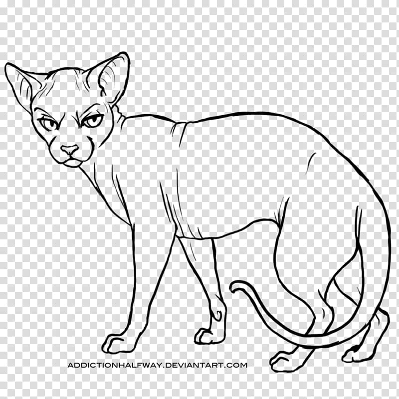 Free Sphynx Cat Lines, cat looking back illustration transparent background PNG clipart