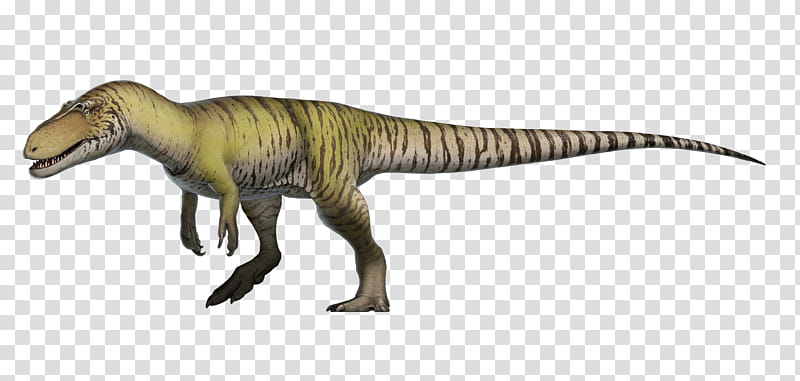 Velociraptor, Torvosaurus, Megalosaurus, Eustreptospondylus, Afrovenator, Dinosaur, Theropods, Morrison Formation transparent background PNG clipart