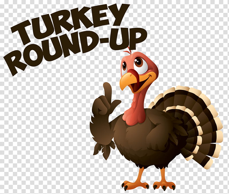Turkey Thanksgiving, Domestic Turkey, Bird, Flightless Bird, Cartoon, Beak, Meter, Domestication transparent background PNG clipart