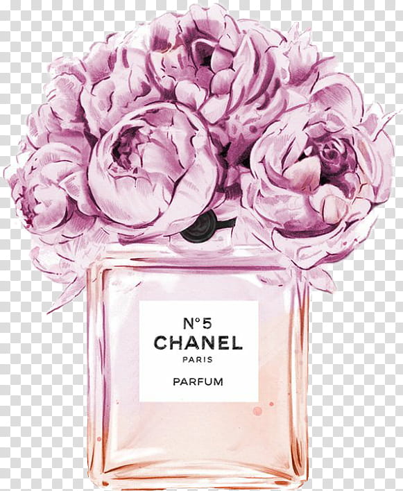 chanel no 5 perfume pink