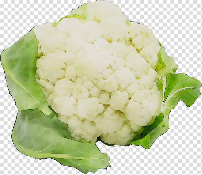 Vegetables, Cauliflower, Cabbage, Mustards, Ingredient, Leaf Vegetable, Food, Plant transparent background PNG clipart