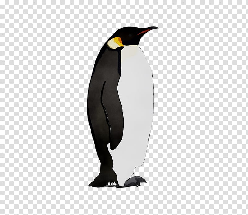 Penguin, King Penguin, Beak, Bird, Flightless Bird, Emperor Penguin, Snares Penguin transparent background PNG clipart