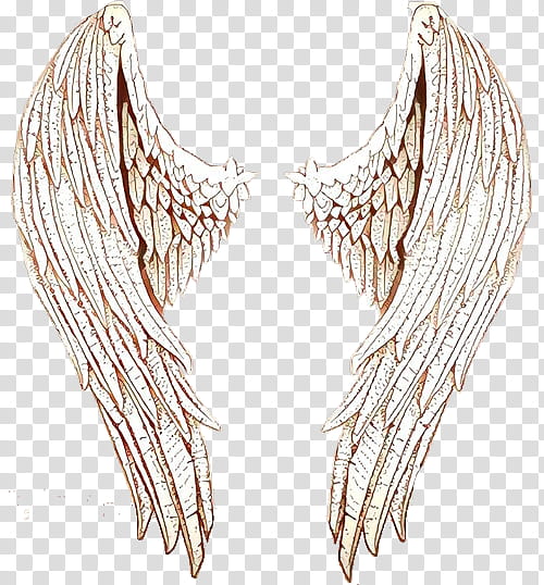 Feather, Wing, Earrings, Jewellery, Body Jewelry, Neck transparent background PNG clipart