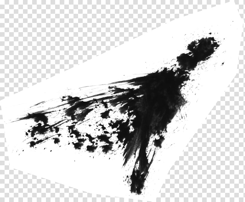 Brush Set , white surface with black paint splatter illustration transparent background PNG clipart
