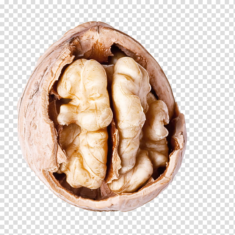 walnut nut food ginger plant transparent background PNG clipart
