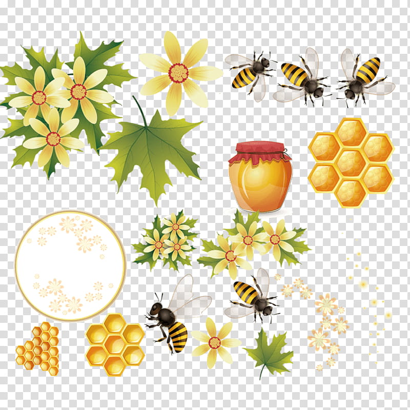Bee, Western Honey Bee, Beehive, Bees And Honey, Honeycomb, Heath Beekeeping, Pollinator, Nectar transparent background PNG clipart