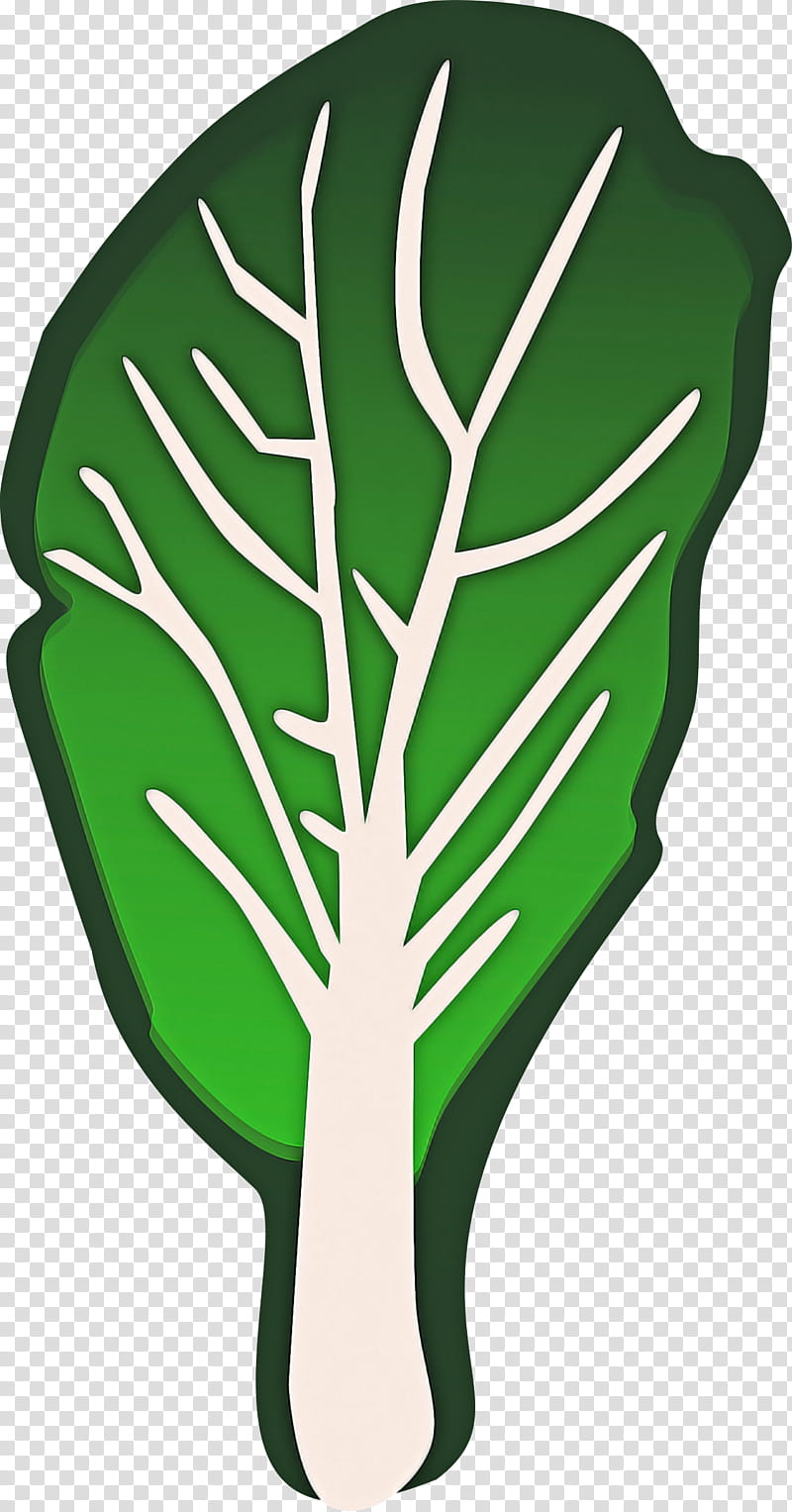 green leaf monstera deliciosa plant leaf vegetable, Tree, Plant Stem transparent background PNG clipart