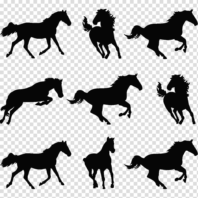 Horse, Wild Horse, Trot, Banco De ns, Draver, Shadow, Silhouette, Black And White transparent background PNG clipart