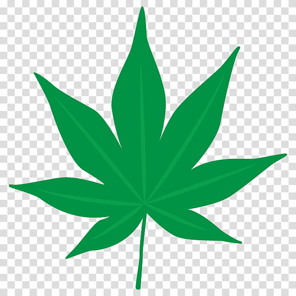 Cannabis Leaf, Cannabis Sativa, Marijuana, Medical Cannabis, Hashish, Cannabis Shop, Cannabis Smoking, Cannabis Planet transparent background PNG clipart